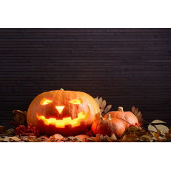 Tykev okrasná - Halloween - Nejlepší na vyřezávání - Čerstvá semena