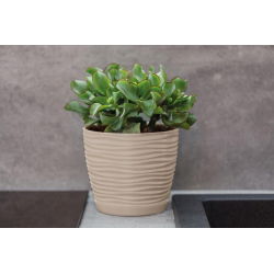 "Sahara petit" round pot with a saucer - 19 cm - cafe latte
