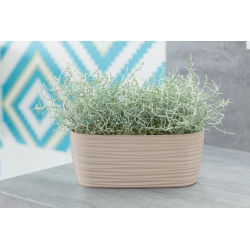 "Sahara pequeño" long plant puede casing - 27 x 13 cm - cafe latte - 
