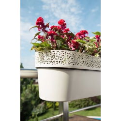Mrežna balkonska kutija „Rosa“ s čipkastim završetkom - 50 cm - antracit-siva - 
