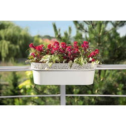 Mrežna balkonska kutija „Rosa“ s čipkastim završetkom - 50 cm - kremasto-bijela - 