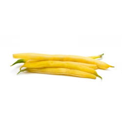 Đậu lùn Pháp "Golden Teepee" - trung bình sớm - 120 hạt - Phaseolus vulgaris L.