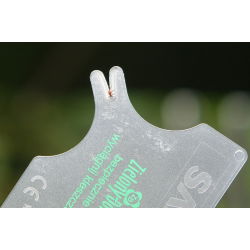Mushroom picker set 2 - a must-have tool kit for all mushroom lovers