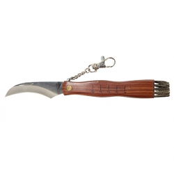 Mushroom picker set 2 - a must-have tool kit for all mushroom lovers