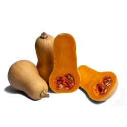 Тыква мускатная - Waltham Butternut - 27 семена - Cucurbita moschata