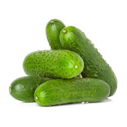 Cucumber - Ela F1 - Disease Resistant, High Yield - Fresh Seeds
