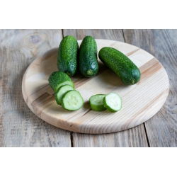 Cucumber - Othello F1 - Super Early Harvest, Ideal for Pickling - Fresh Seeds