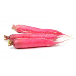 Letné reďkovky "Osterguss Rosa 2" - 770 semien - Raphanus sativus L. - semená
