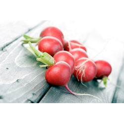 Redis - Cherry Belle - seemnelint  - Raphanus sativus L. - seemned