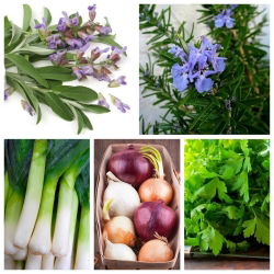Pest-afstotende plantenset - wortelvlieg - zaden van 5 plantensoorten - 