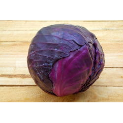Fejes káposzta - Mars - Piros - Brassica oleracea convar. capitata var. Rubra - magok