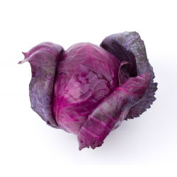 Fejes káposzta - Mars - Piros - Brassica oleracea convar. capitata var. Rubra - magok