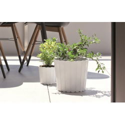 "Boardee Basic" ronde plantenpot - 16,5 cm - wit - 