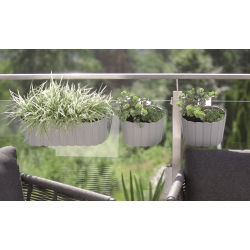 Vješalica za biljku "Boardee Hook" - 38,3 cm - kameno siva - 