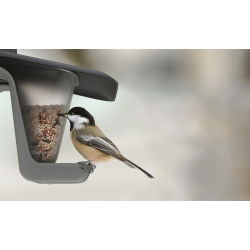 Stôl na vtáky / podnos na kŕmenie Birdyfeed Double - na zavesenie na lane alebo vetve - antracitovo sivá - 
