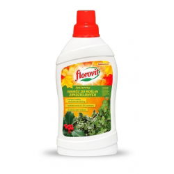 Høstgjødsel for eviggrønne planter - livlige farger om vinteren - Florovit® - 1 l - 