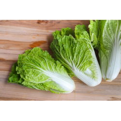 Kínai kel - Michihili -  Brassica rapa ssp. Pekinensis - magok