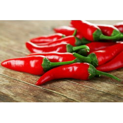 พริกไทยร้อน 'Cayenna' -  Capsicum annuum - Cayenna - เมล็ด
