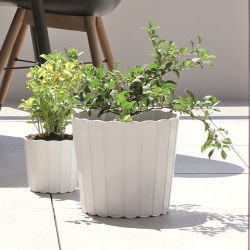 Pot tanaman bulat "Boardee Basic" - 24 cm - putih - 