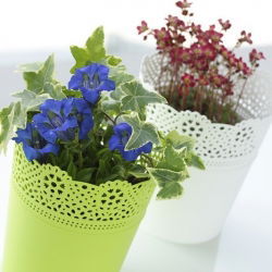 Vaso di fiori rotondo con pizzo - 16 cm - Pizzo - Lime - 