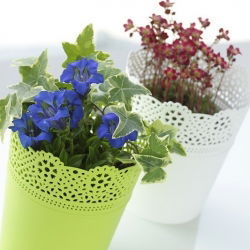 Rund blomkruka med spets - 18 cm - Spets - Lime - 