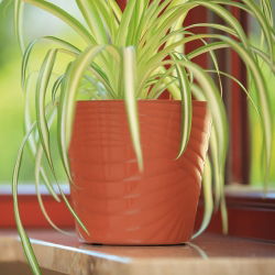 "Capri" runder Topfmantel - 28 cm - terrakottafarben - 