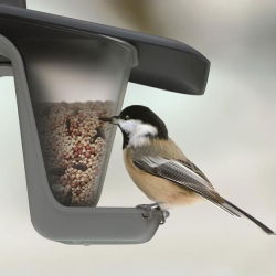 Stôl na vtáky / podnos na kŕmenie Birdyfeed Double - na zavesenie na lane alebo vetve - antracitovo sivá - 