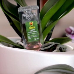 Orchid Power Nutrient - Compo® - 1 x 30 ml - 