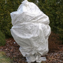 Bulu putih musim dingin (agrotextile) - melindungi tanaman dari embun beku - 1,60 x 50,00 m - 
