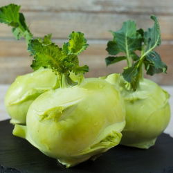 Koleraba "Luna" - bijela sorta za ranu berbu - 260 sjemenki - Brassica oleracea var. Gongylodes L. - sjemenke