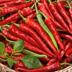 Перець "Посейдон" - гарячий - 70 насінин - Capsicum L. - насіння