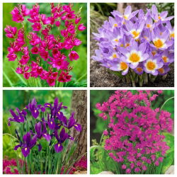 Spring Kreatif - set 4 spesis tumbuhan - 350 pcs. - 