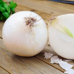 Cipolla - Avalon - Bianco succoso, perfetto per lunga conservazione - Semi Freschi