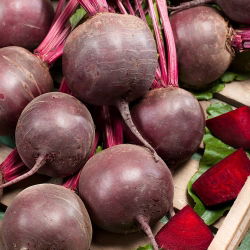 Pancar "Kırmızı Top" - 100 gr - 5000 tohum - Beta vulgaris L. - tohumlar