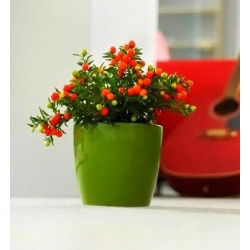 Maceta "Coubi Duo" ø 19 cm - verde oliva nuevo - 
