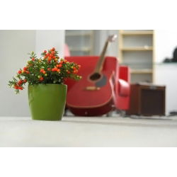 Kvetináč „Coubi Duo“ ø 15 cm - olivovo-zelená - 