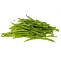 Đậu xanh "Bộ xử lý" - giống sớm - Phaseolus vulgaris L. - hạt