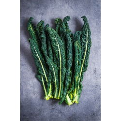 Kale "Tuscan Black" - giống Tuscan - 540 hạt - Brassica oleracea L. var. sabellica L.