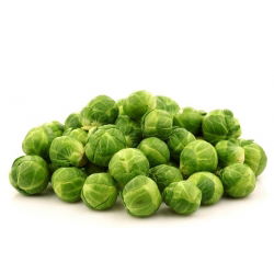 Брюссельська капуста Насіння казіопеї - Brassica oleracea convar.oleracea var.gemmifera - 640 насіння \ t - Brassica oleracea var. gemmifera