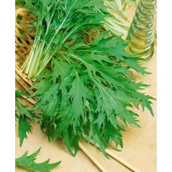 Мизуна, японски синапени зърна - Brassica rapa nipposinica - 1000 семена - Brassica rapa var. Japonica