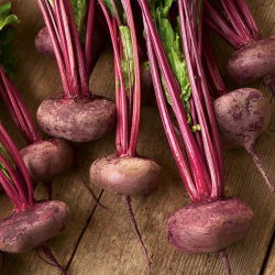 甜菜根“Egipski” -  100克种子 -  5000粒种子 - Beta vulgaris L. - 種子
