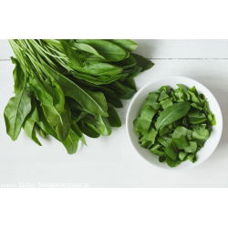 Кисељак - 2400 сјеменки - Rumex acetosa - семе