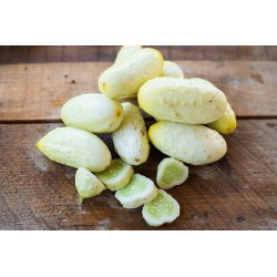 Cucumber - White Wonder - Early Harvest, Unique for Pickles and Preserves - Fresh Seeds