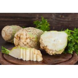 Celeriac, Sayuran akar "Maxim" - pelbagai lewat - 2600 biji - Apium graveolens - benih