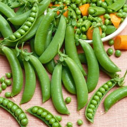 Pisello a grano rugoso - Ambrosia - Dolce, tenero, maturazione precoce - Semi Freschi