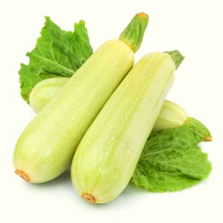 Кістковий мозок "Ванда"; cucurbit - Cucurbita pepo  - насіння