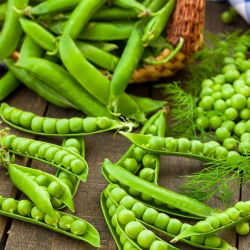 Pisello a grano rugoso - Meraviglia di Kelvedon - 500 g - Varietà precoce e compatta - Semi Freschi