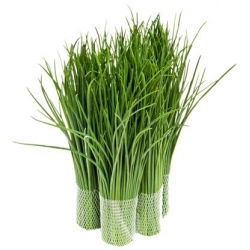 BIO Chives "Среден лист" - сертифицирани органични семена - 