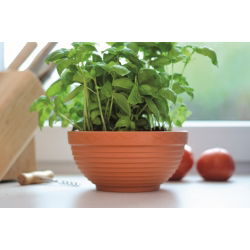 "Misa" ondiepe plantenpot ø 13 cm - terracottakleurig - 