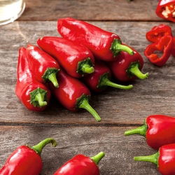 Ardei Jalapeno - varietate roșie, foarte caldă - 85 de semințe - Capsicum L.